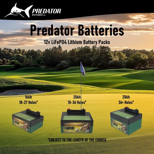 Predator batteries 12v 20 - batteries,
