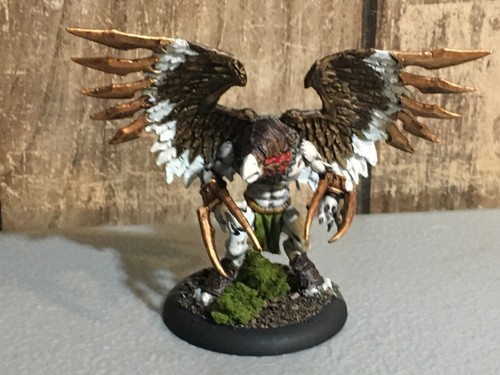 A24920 warmachine hordes - a24920,