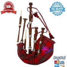 Scottish great highland - scottish,