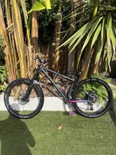 Custom MTB Hardtail Mountain