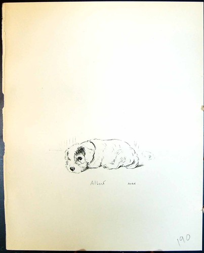 Old vintage print albert - old,