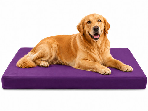 Dog cage bed cushion - dog,