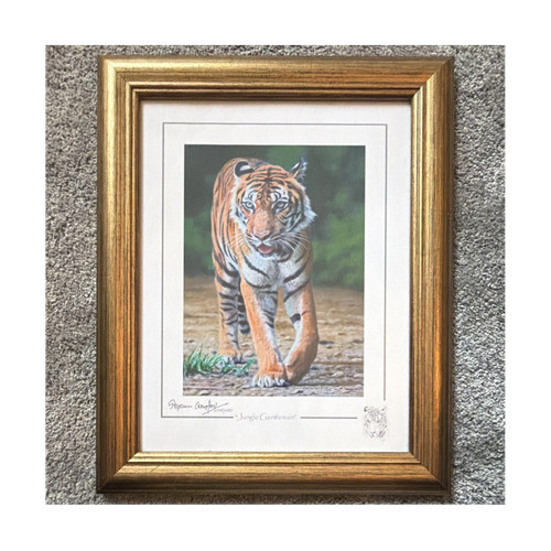 Stephen gayford jungle - stephen,