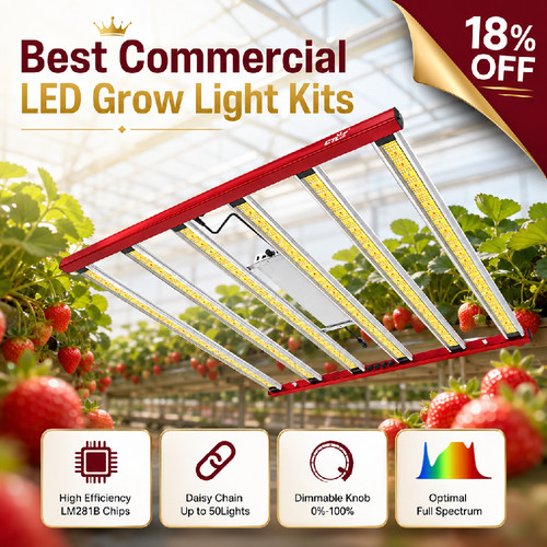 6500w led greenhouse grow - greenhouse,