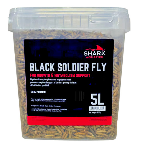 Shark pond black solider - black,