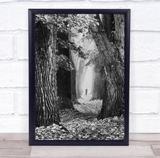 The Path big tree trunks person walking black and white Wall Art Print