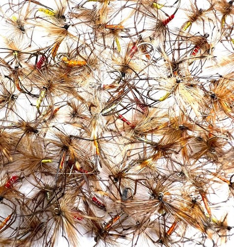 Daddy long legsassorted trout - daddy,