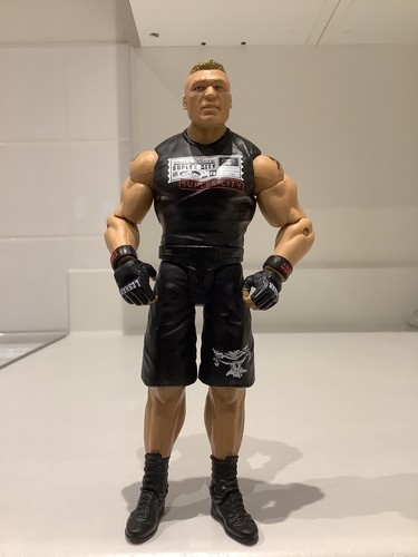 Wwe brock lesnar wrestling - brock,