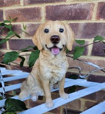 Golden Retriever Gifts Collectable Golden Retiever Ornament Figurine Statue Dog 