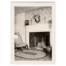 Snapshot Photo of Deer Head