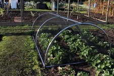 Garden hoop tunnel with - garden,