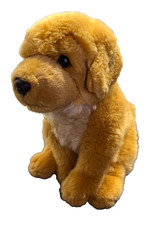 Living nature golden retriever - living,