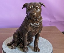 Staffordshire Bull Terrier Dog