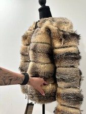 Beautiful Real natural coyote