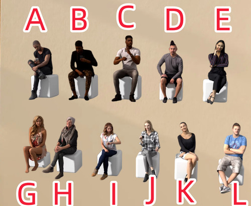 43 american sitting - american,