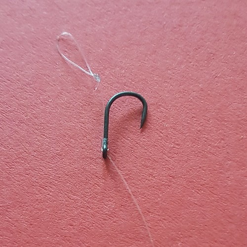 20lb carp hair fishing - carp,
