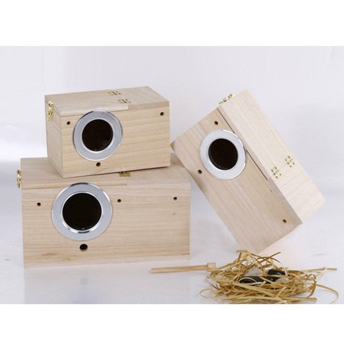 Solid wood budgie - solid, box