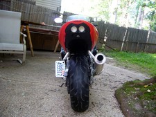 Honda CBR 600 License plate