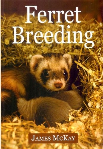 Ferret breeding james mckay - ferret,