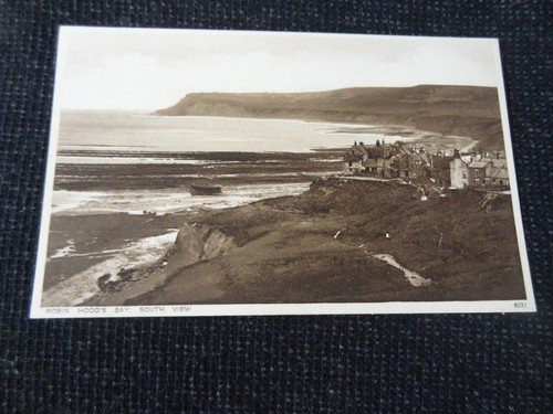 Robin hoods bay south view - robin,