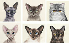 SPHYNX, SIAMESE, BURMESE, EXOTIC CATS, Kitten  Counted cross stitch kit ~ Fido
