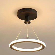 Chic LED Ceiling Light Modern