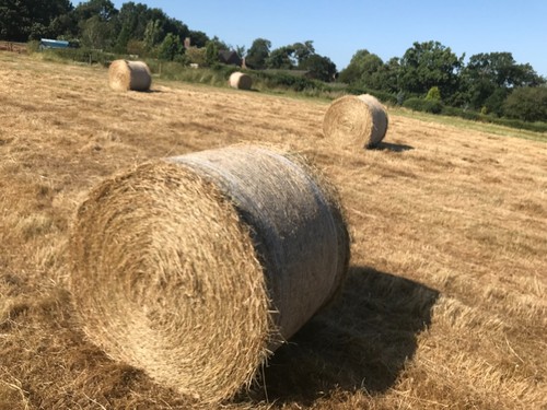 Hay bales and - bales,