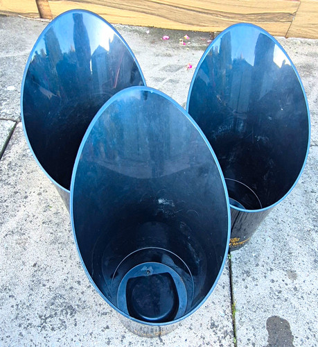 Veuve clicquot black - 3x,
