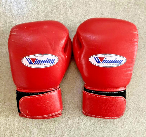 Winning boxing gloves - winning,