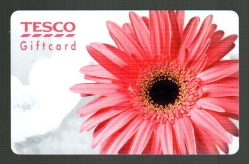 Tesco pink daisy 2012 - tesco,