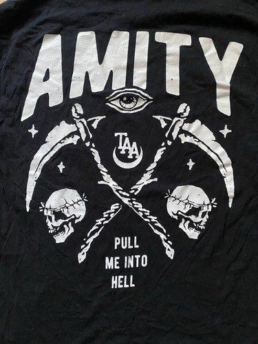 The amity affliction - the,