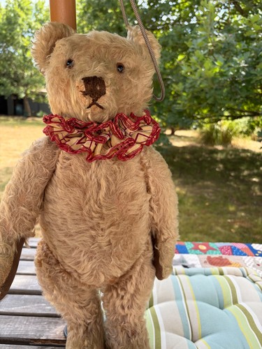 Steiff bear 1950s inches - steiff, bear,