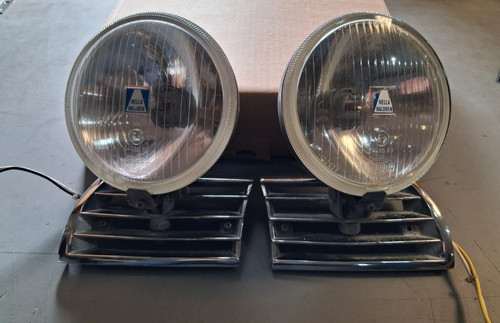 Pair original horn - pair,