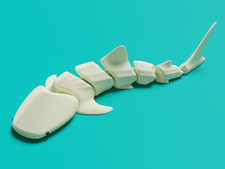 Articulated Whale Shark -