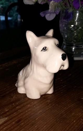 Cream scottish terrier - scottish,