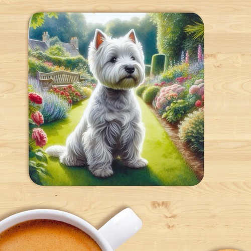 West highland white terrier - highland,