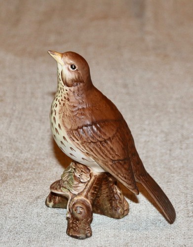 Beswick song thrush - song, (2308)