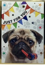 Cute Dog Pug Open Birthday