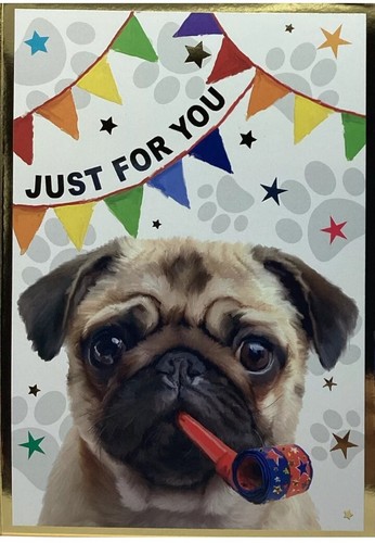 Cute dog pug open - dog,