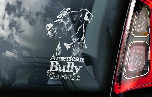 American bully car sticker - american,