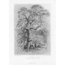 EDWIN LANDSEER Under the Old