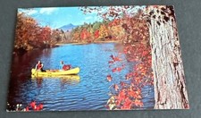 Greetings panther lake - panther, picnic