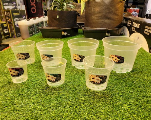 Orchid pots growth - pots,