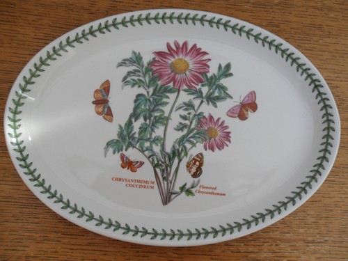 Portmeirion chrysanthemum - portmeirion, "chrysanthemum"