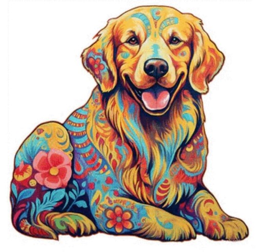 Golden retriever cross - golden,