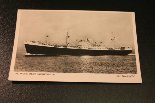 Flamenco the pacific - s.s.,