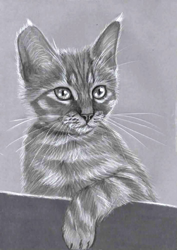 Original black white - original,