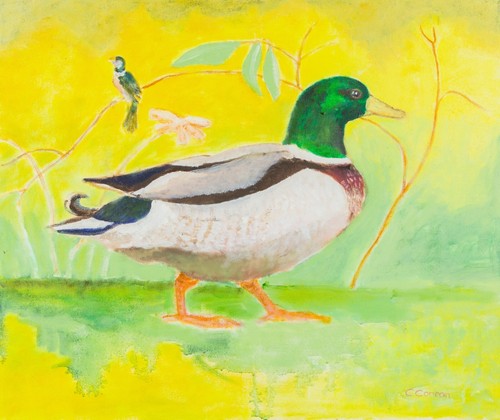 Caroline conran study a - caroline, of