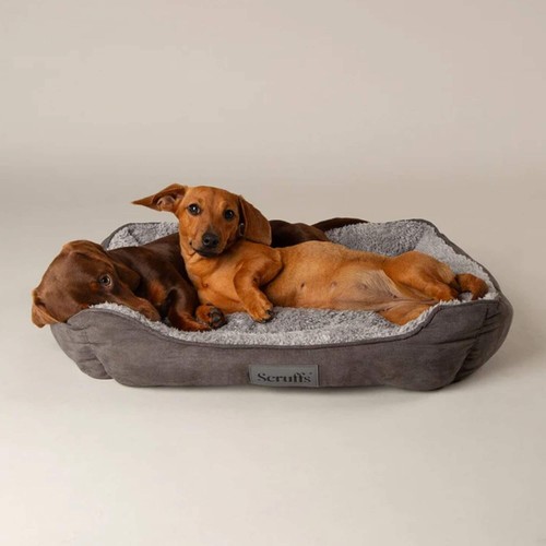 Cosy soft walled dog - cosy, soft-walled
