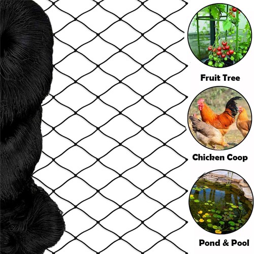 Anti bird net 20mm poultry - bird,